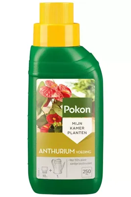 Pokon anthurium voeding 250ml Pokon anthurium voeding 250ml