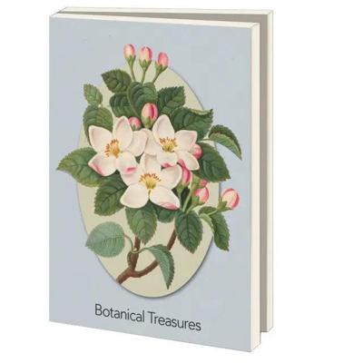 Kaartenmapje Groot: Botanical Treasures, Chester Beatty