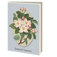 Kaartenmapje Groot: Botanical Treasures, Chester Beatty - thumbnail