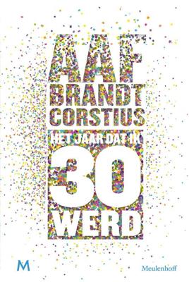 Het jaar dat ik 30 werd - Aaf Brandt Corstius - ebook