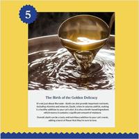 INABA Dashi Delights Chicken with scallop in broth - Kattensnoepje - 70g - thumbnail