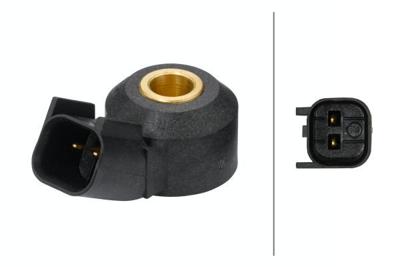 Klopsensor 6PG009108821