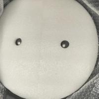 Siena Garden R08416 Thermo-potbescherming Premium 1 stuk(s) - thumbnail