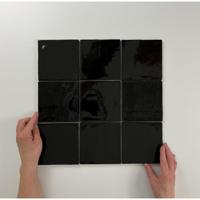 Oud Hollandse witjes Zwart 13x13 - thumbnail