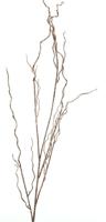 Twig spray pink 130cm - thumbnail
