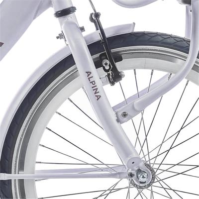 Alpina voorvork 22 clubb frosty pink matt