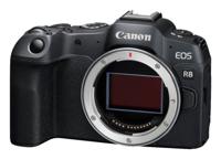 Canon EOS R8 + RF 24-105mm F/4-7.1 IS STM - thumbnail