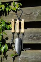 De Wit Set tuingereedschap op haak w3000w3051w3097dewit - thumbnail