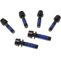 Ritchey stuurpen vervangingsbouten wcs c260 25d set 6 stuks - thumbnail