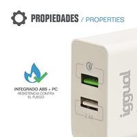 Oplader iggual IGG317389 - thumbnail