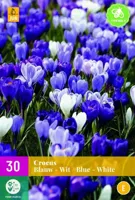 Crocus blauw & wit 30 bollen - thumbnail