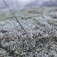 Vlaggenmastverlichting - 500 LEDs - Amber 2200K - 5 meter - Kerstverlichting - thumbnail