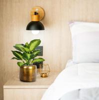 Dieffenbachia Kunstplant 25cm - thumbnail