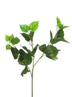 Polystichum varen groen 46cm - thumbnail