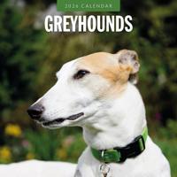 Greyhound Kalender 2026 - thumbnail