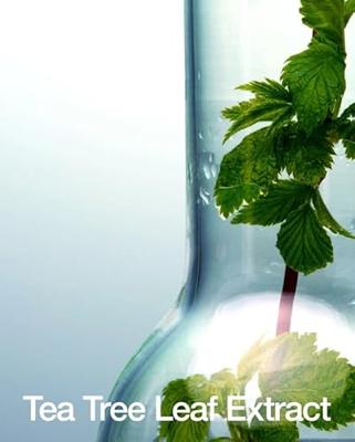 Anua BHA 2% Gentle Exfoliating Toner 150 ml Anua BHA 2% Gentle Exfoliating Toner 150 ml