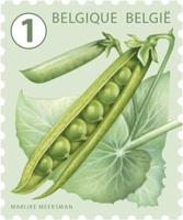 Postzegel belgie waarde 1 zelfklevend 5x10 stuks - thumbnail