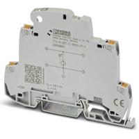 Phoenix Contact 2906861 TTC-6-GDT-C-110AC-PT-I Overspanningsveilige afleider 1 stuk(s) - thumbnail