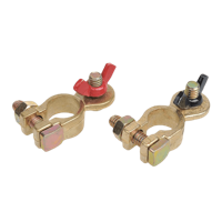 Pro Plus Accupoolklemmen Snelsluiting - thumbnail