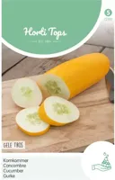 Komkommer Gele Tros Zaden Horitops - Hortitops - thumbnail