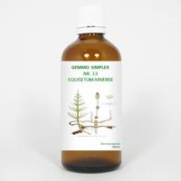 Balancepharma Gemmo simplex 13 equisetum arvense 100 Milliliter - thumbnail
