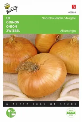 Ui noordhollands strogele 4g