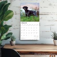 Duitse Staande Kalender 2026 - thumbnail