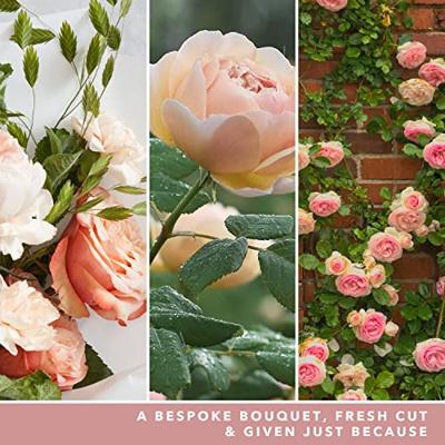 Yankee Candle fresh cut roses large jar