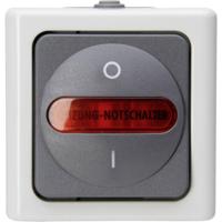 Kopp 562356009 BlueElectric Compleet Verwarmingsnoodschakelaar spatwaterdicht Grijs 1 stuks 1 stuk(s) - thumbnail