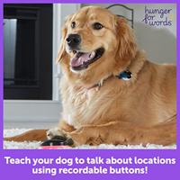 Hunger For Words talking pet next words locations hond - thumbnail