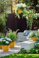 Elho Vibia Campana schaal rond 34 cm honinggeel - thumbnail