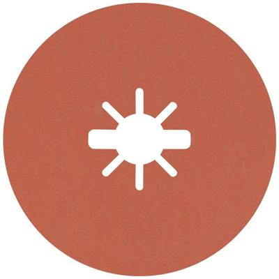 Bosch Accessories 2608621811 Fiberschijf Diameter 125 mm Korrelgrootte (num): 120 5 stuk(s)