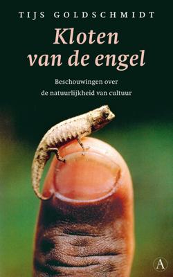 Kloten van de engel - Tijs Goldschmidt - ebook