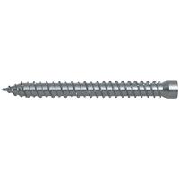 fischer kozijnschroef FFSZ - 7.5x152 mm - Torx T30 - 100 st - 532915 - thumbnail