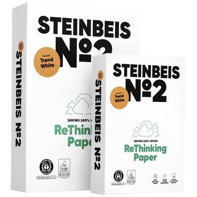 STEINBEIS No. 2 99779553 Printpapier, kopieerpapier DIN A3 80 g/m² 500 vellen Wit STEINBEIS No. 2 99779553 Printpapier, kopieerpapier DIN A3 80 g/m² 500 vellen Wit