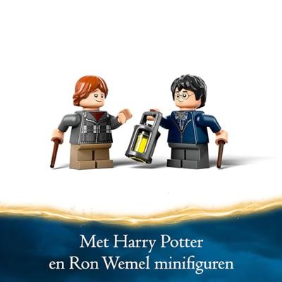 LEGO Harry Potter Aragog in het Verboden Bos 76434 - thumbnail