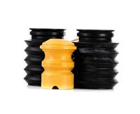 Eikenboom zuilvorm - thumbnail