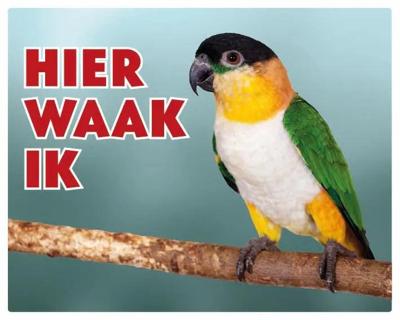 Caipe Papegaai Waakbord - Hier Waak Ik