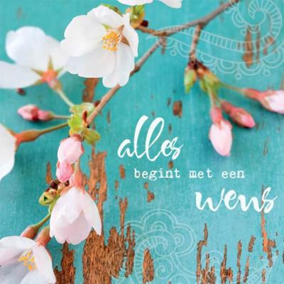 Dubbele kaarten Nederlandse introductieset - 14x14 - Karton (6 stuks) - S