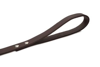 Hondenriem van leer 100cm x 20mm bruin