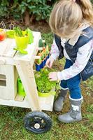 Essentiële houten benodigdheden / toebehoren hout - thumbnail