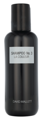 David Mallett Color Protecting Shampoo 250 ml