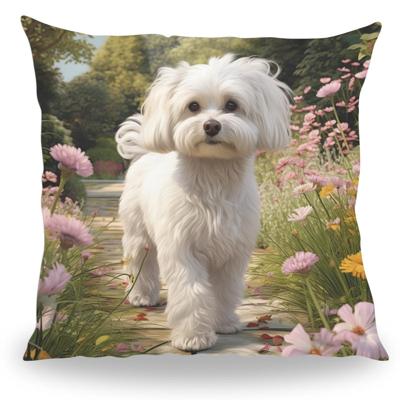 Kussen - Huisdier Portret - Maltezer 1 - Pillow Buddies