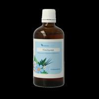 Balancepharma Aesculus hippocastanum L. tincturen 100 Milliliter - thumbnail