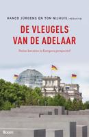 De vleugels van de adelaar - Hanco Jürgens, Ton Nijhuis - ebook - thumbnail