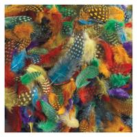 Colorations - gevlekte veren, 30 gram - thumbnail