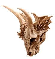 Drakenschedel Decoratie - Large - thumbnail