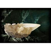 Noble Collection Harry Potter: The Crystal Goblet decoratie - thumbnail
