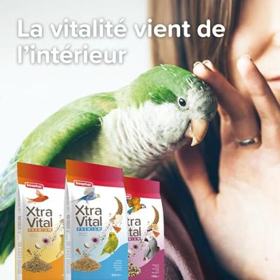 Beaphar xtravital kanarie