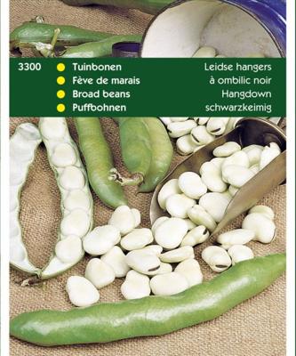 Tuinbonen Leidse Hangers, 100 gram Tuinbonen Leidse Hangers, 100 gram